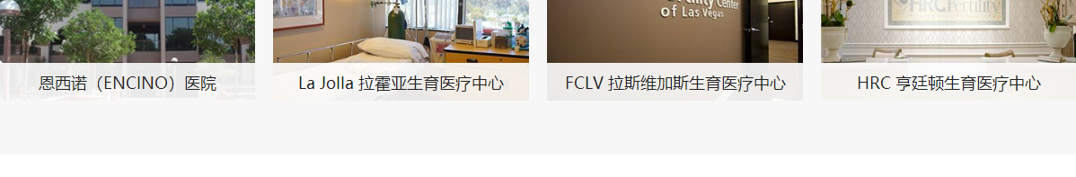 优游国际网络网站案例