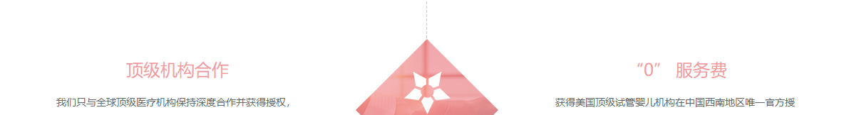 优游国际网络网站案例