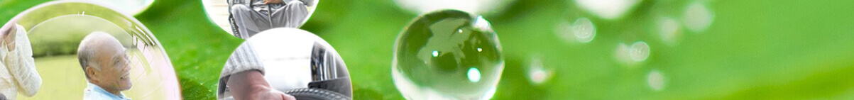 优游国际网络网站案例