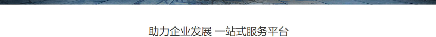优游国际网络网站案例