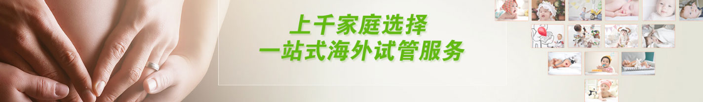 优游国际网络网站案例