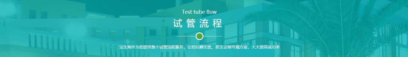 优游国际网络网站案例
