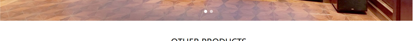 拉威尼网站设计效果图 优游国际网络网站案例