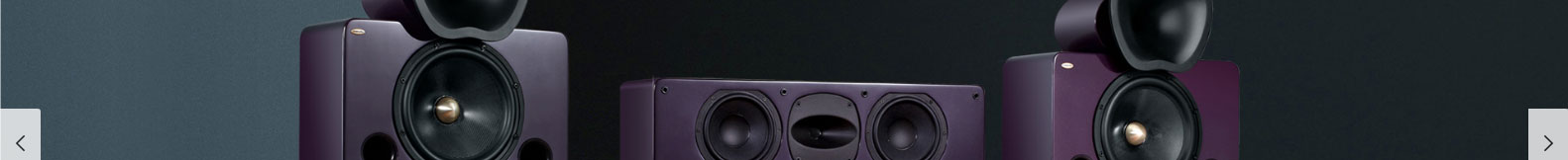 拉威尼网站设计效果图 优游国际网络网站案例