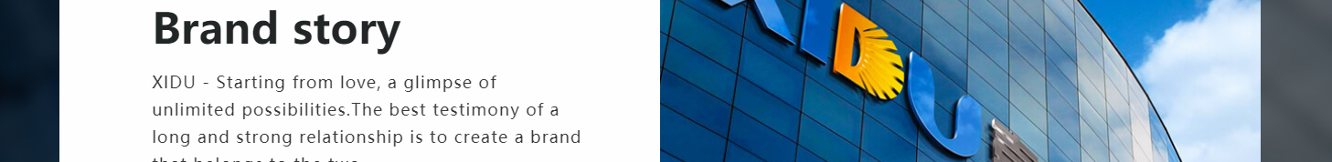 宝华中网站设计效果图 优游国际网络网站案例