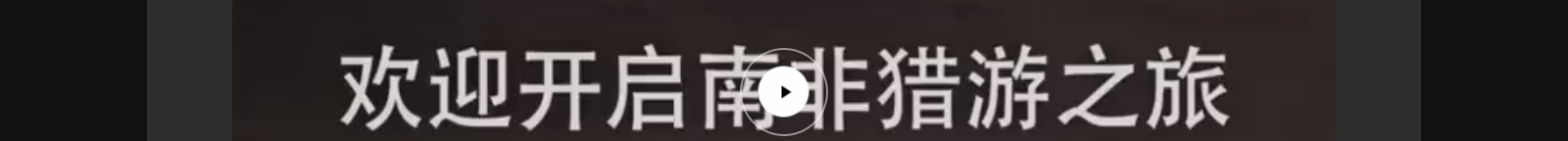 优游国际网络网站案例