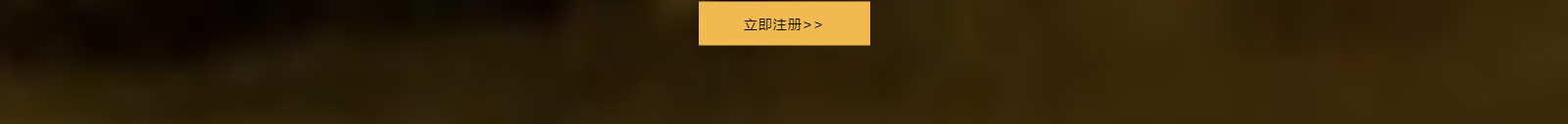 优游国际网络网站案例