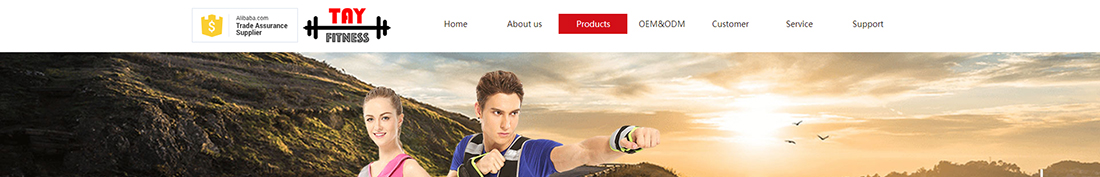 优游国际网络网站案例