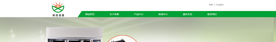 优游国际网络网站案例