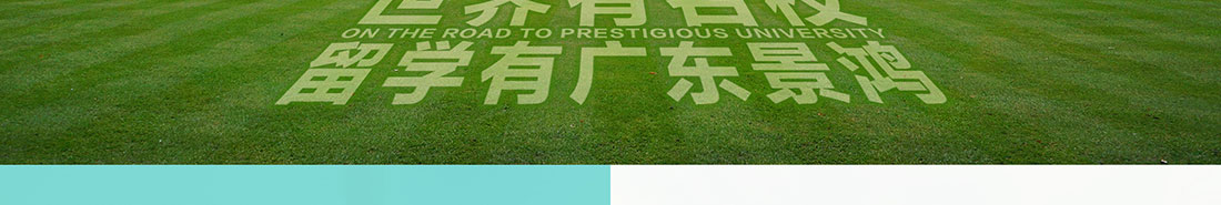 优游国际网络网站案例